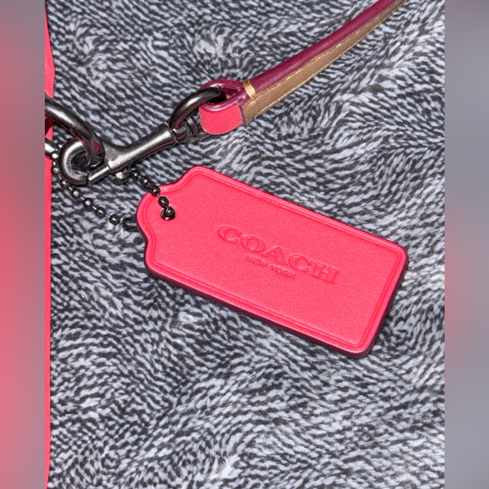NWOT Coach Novelty x Disney Red Crossbody and Wallet Set in RED (2 ITEMS!) - Picture 9 of 15
